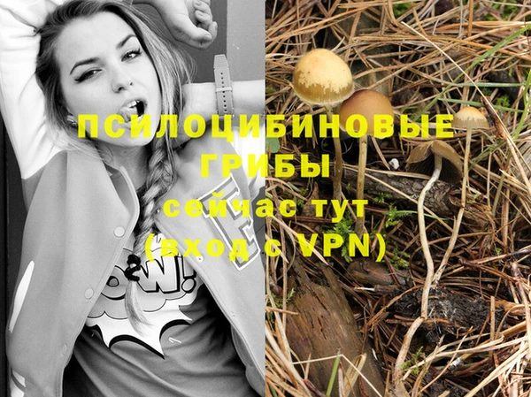 стаф Алексеевка
